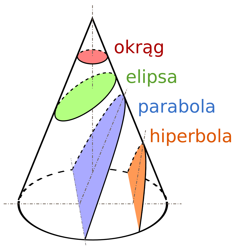 Okrąg, elipsa, parabola i hiperbola zaznaczone jako przecięcia stożka.