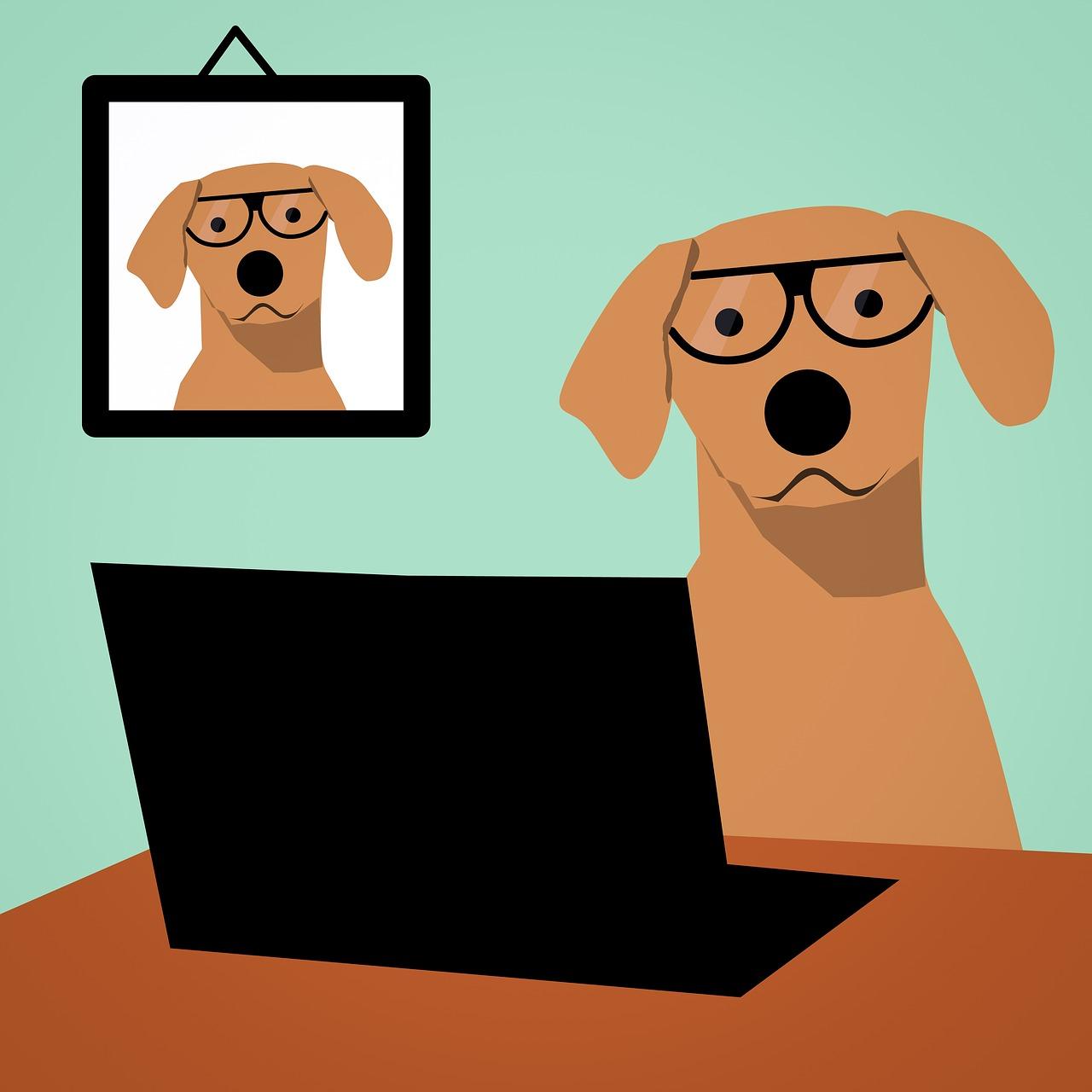 Pies w okularach siedzący przy laptopie