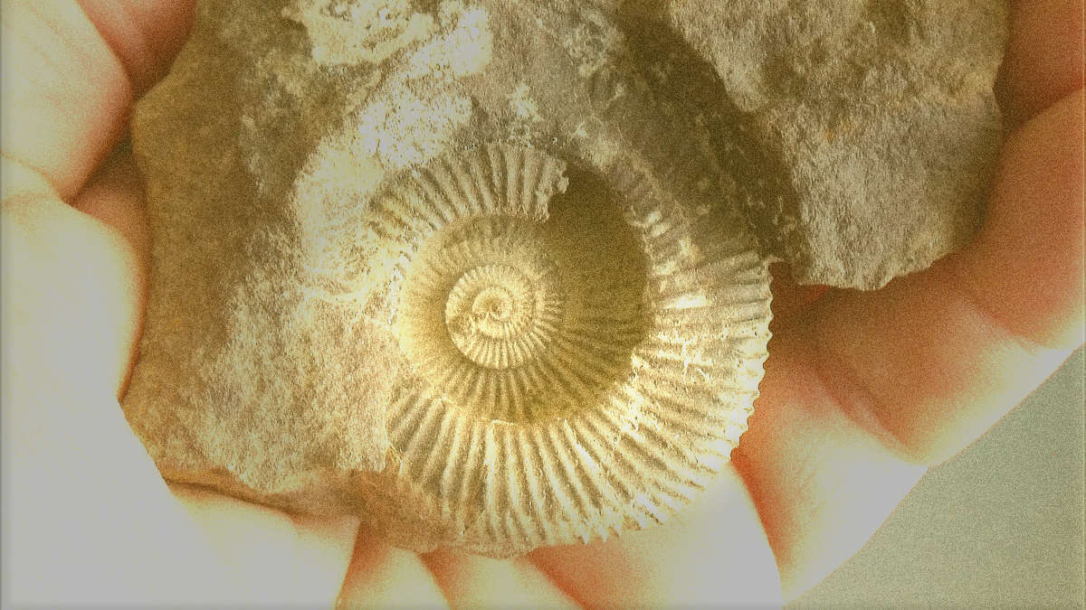 Proste sposoby na znajdowanie liczb pierwszych