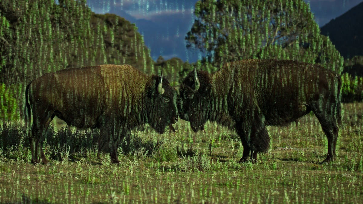 Sposoby zapisywania liczb przez komputery