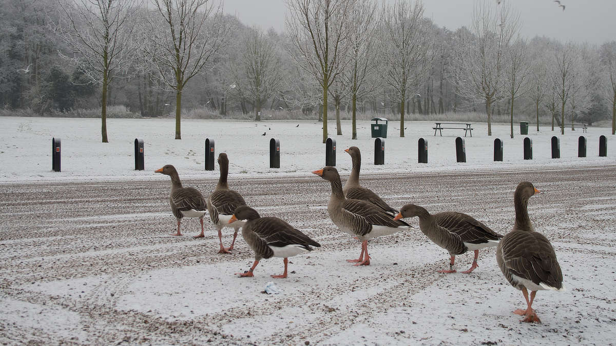 Szukanie najkrótszych ścieżek w grafie