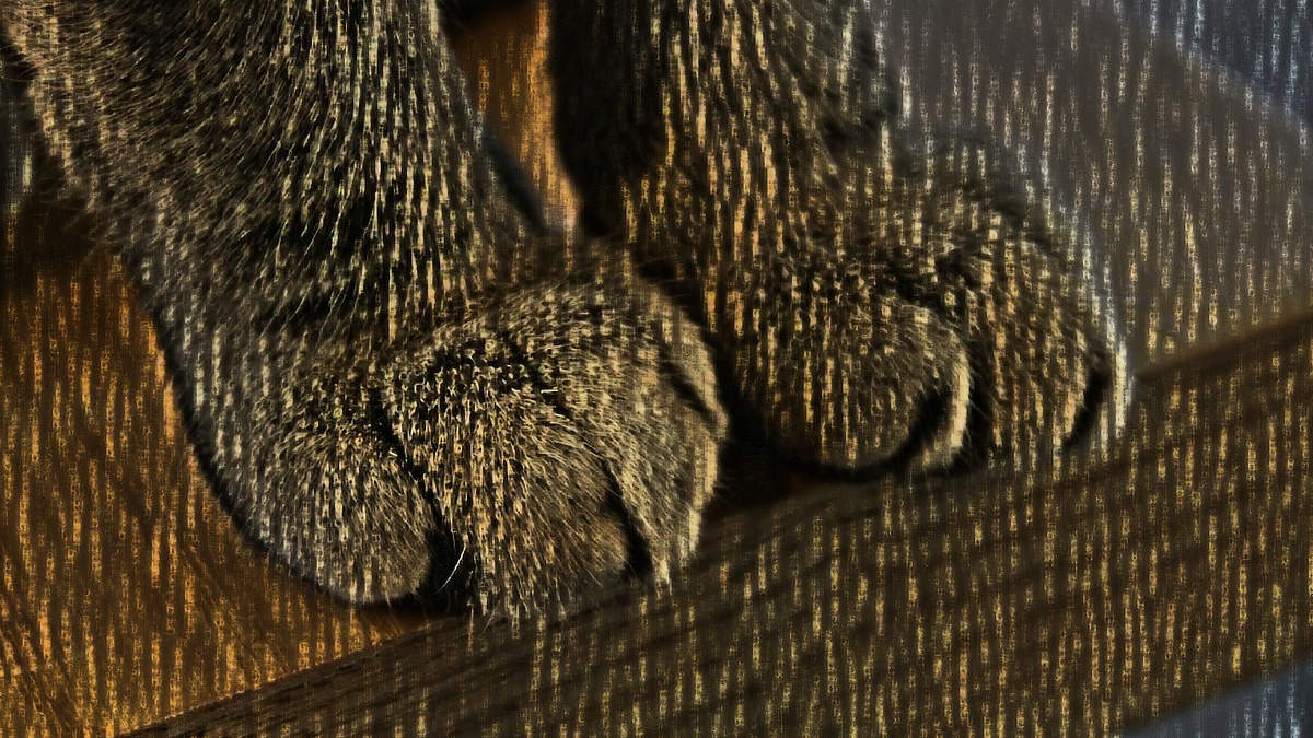 Systemy liczbowe — uzupełnienie