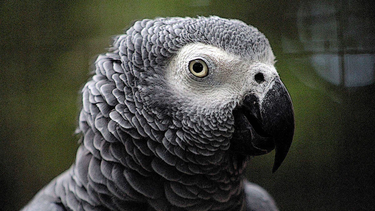 Testowanie i wykrywanie sztucznej inteligencji