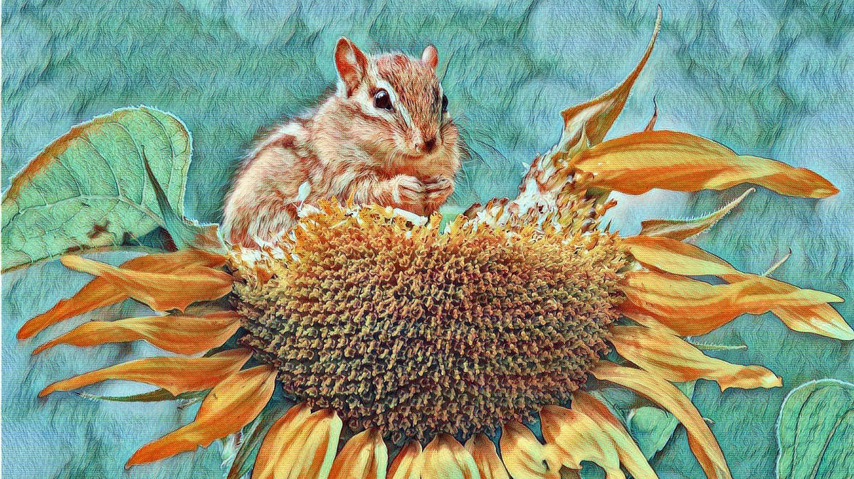 Przetwarzanie plików w praktyce — obrazy BMP