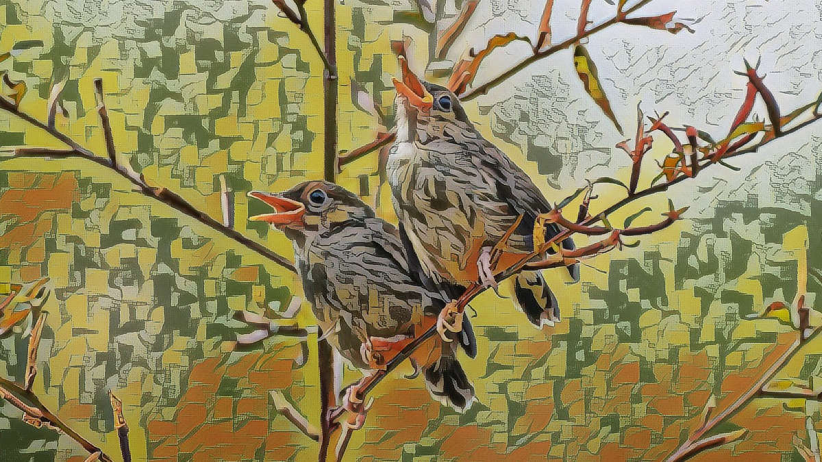 Jak komputer zapisuje dźwięk?