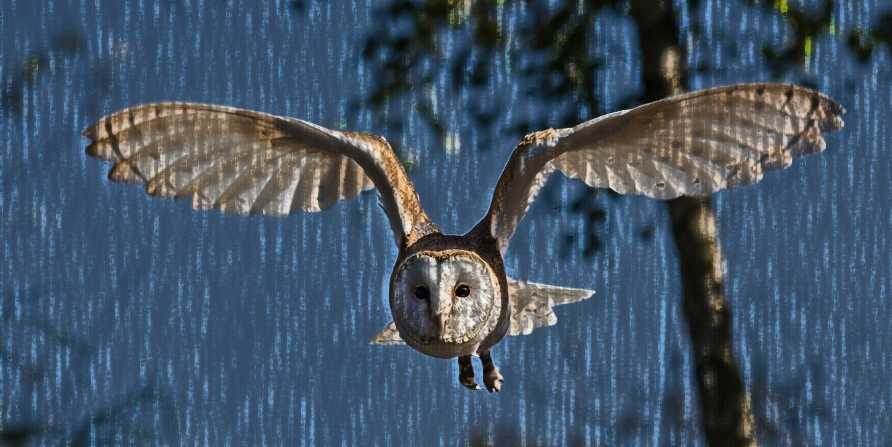 1 0 0 0? 0 1 0 1! 1 0 0 1 – czyli matematyka zero-jedynkowa